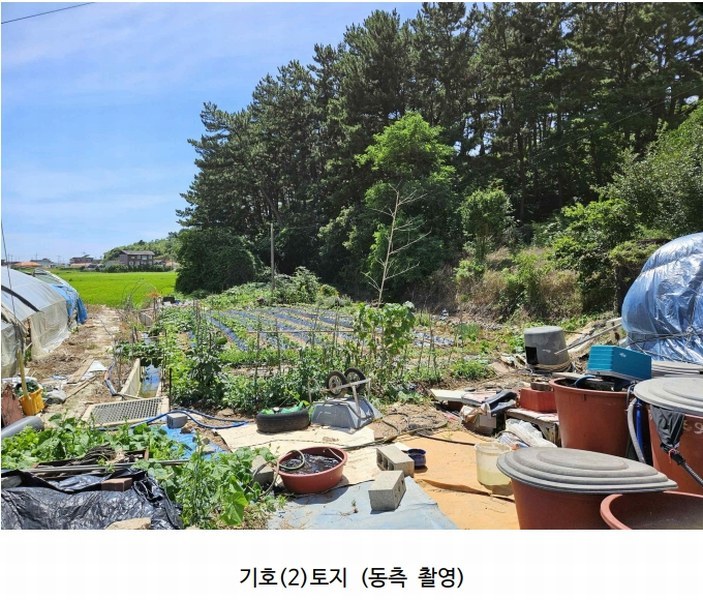 2025타경51506 충청남도 태안군 고남면 고남리 645 임야 경매 이미지