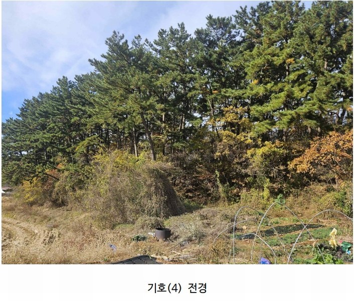 2025타경51506 충청남도 태안군 고남면 고남리 645 임야 경매 이미지