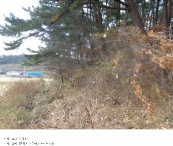 2025타경51506 충청남도 태안군 고남면 고남리 645 임야 경매 이미지