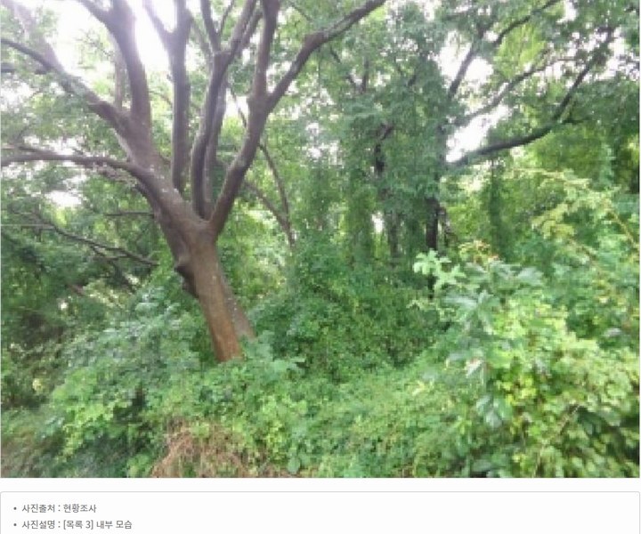 2025타경51506 충청남도 태안군 고남면 고남리 645 임야 경매 이미지
