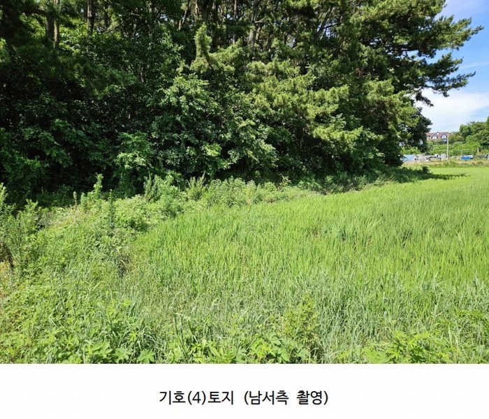 2025타경51506 충청남도 태안군 고남면 고남리 645 임야 경매 이미지