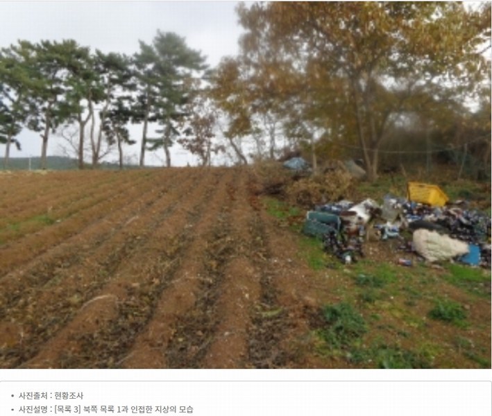 2025타경51506 충청남도 태안군 고남면 고남리 645 임야 경매 이미지