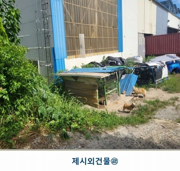 2025타경51524 충청북도 청주시 흥덕구 옥산면 장동리 464-3 공장 경매 이미지