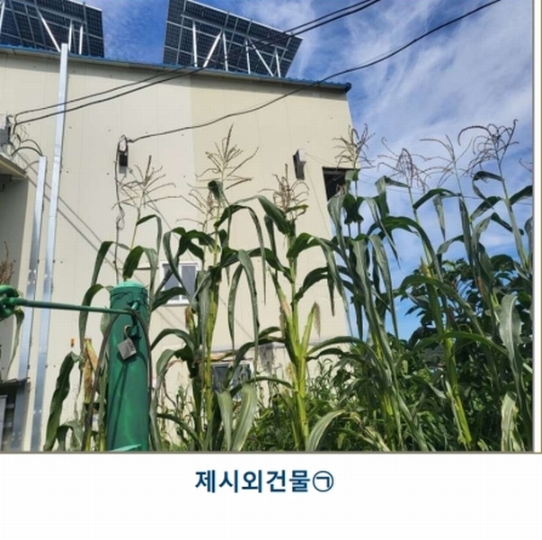 2025타경51524 충청북도 청주시 흥덕구 옥산면 장동리 464-3 공장 경매 이미지