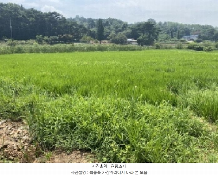 2025타경51534 충청남도 당진시 송악읍 월곡리 117-1 농지 경매 이미지