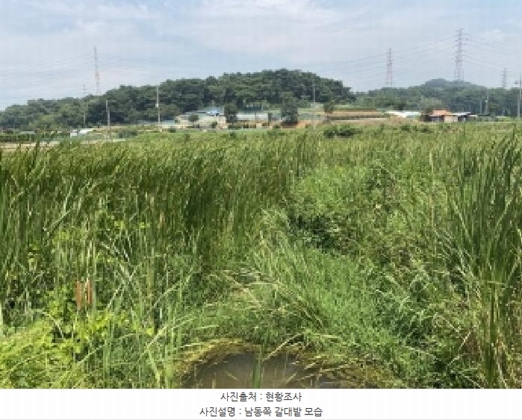 2025타경51534 충청남도 당진시 송악읍 월곡리 117-1 농지 경매 이미지