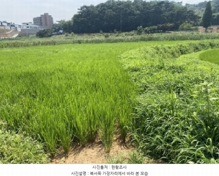 2025타경51534 충청남도 당진시 송악읍 월곡리 117-1 농지 경매 이미지