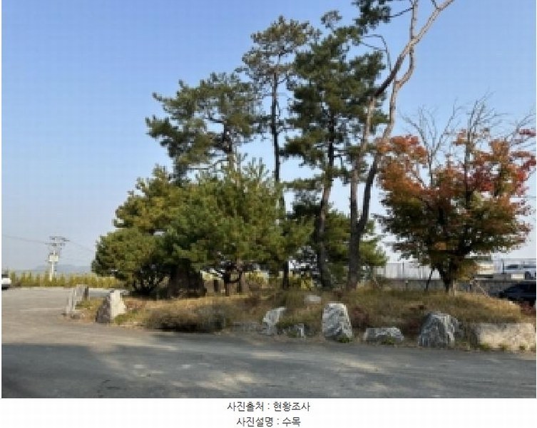 2025타경51865 충청북도 청주시 흥덕구 석곡동 324-8 근린시설 경매 이미지