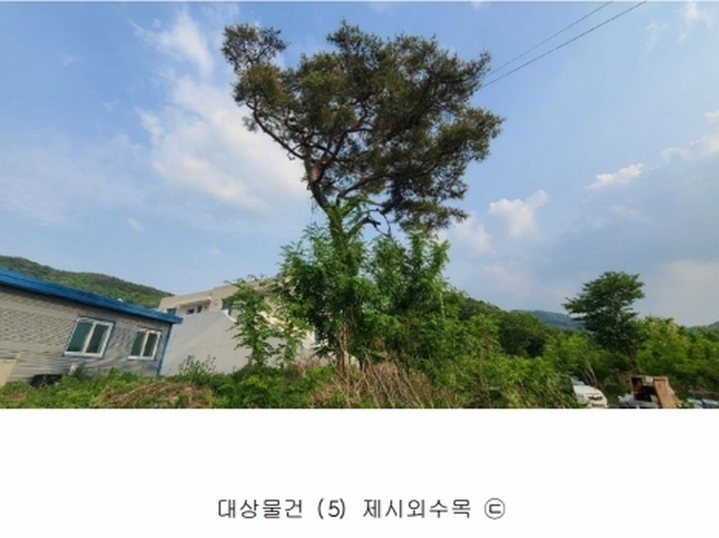 2020타경7494 충청북도 청주시 상당구 미원면 종암리 511-5 근린시설 경매 이미지