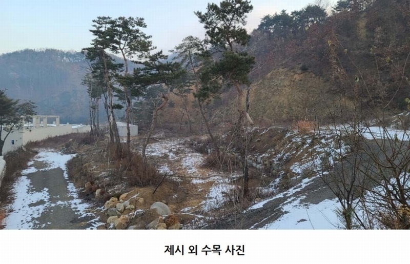 2020타경7494 충청북도 청주시 상당구 미원면 종암리 511-5 근린시설 경매 이미지