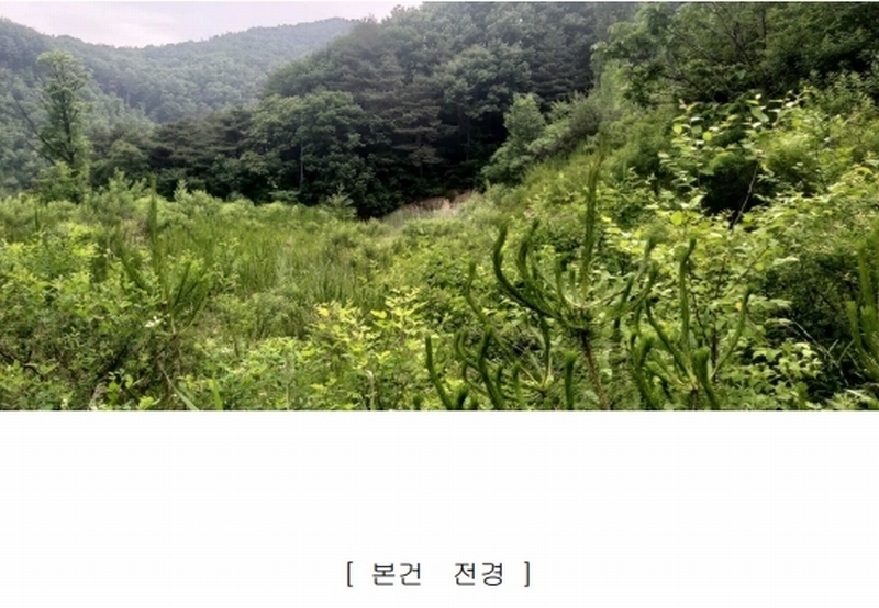 2020타경7494 충청북도 청주시 상당구 미원면 종암리 511-5 근린시설 경매 이미지