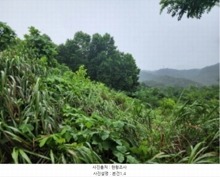 2024타경3414 충청북도 청주시 상당구 명암동 7-1 농지 경매 이미지