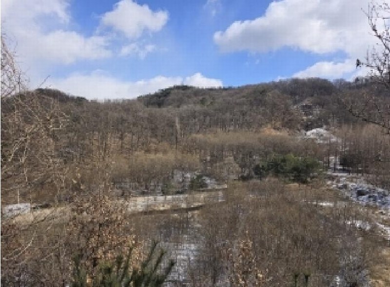 2024타경64860 충청북도 청주시 서원구 남이면 수대리 산20 임야 경매 이미지