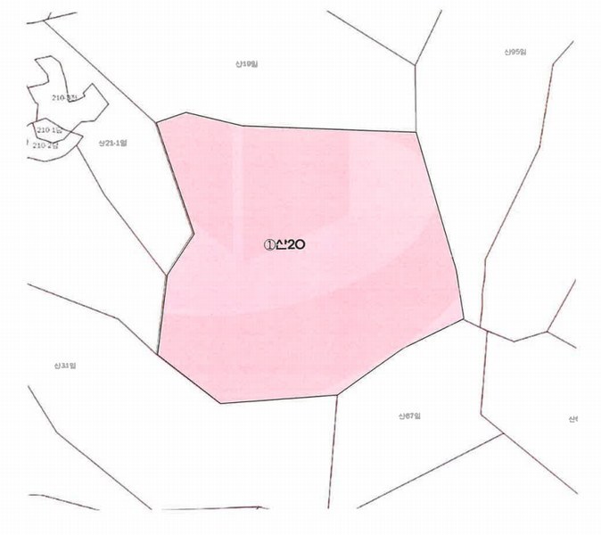 2024타경64860 충청북도 청주시 서원구 남이면 수대리 산20 임야 경매 이미지
