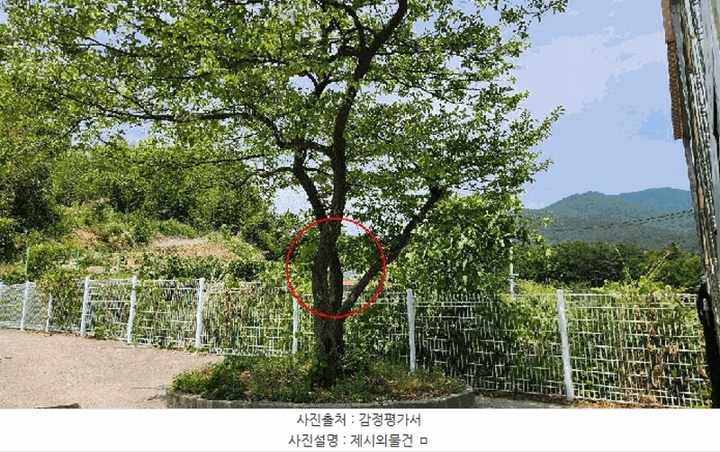 2025타경1170 울산광역시 울주군 상북면 덕현리 717-6 근린시설 경매 이미지
