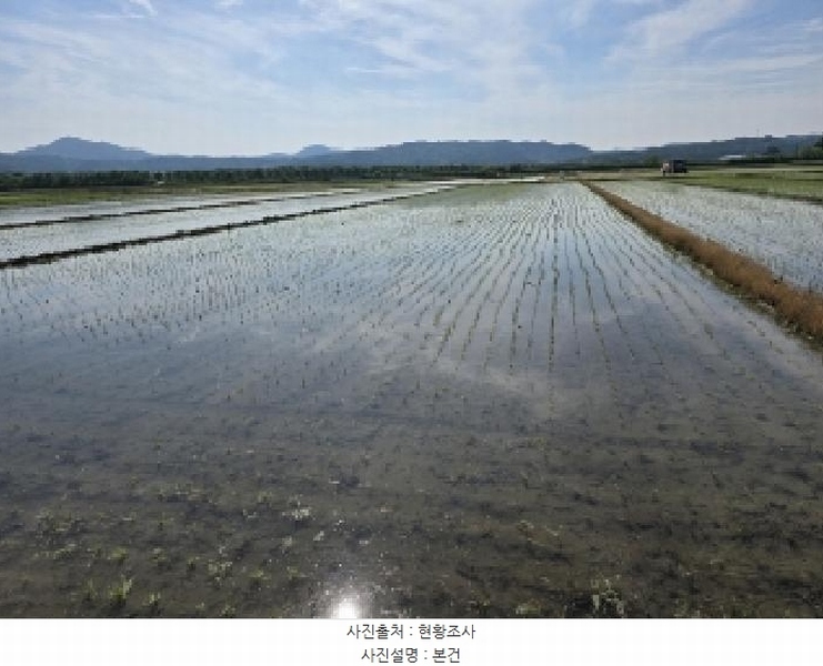 2025타경2173 충청북도 보은군 탄부면 사직리 240 농지 경매 이미지