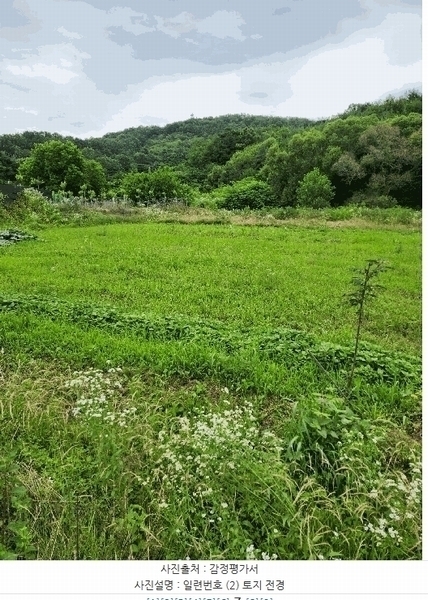 2025타경2975 충청북도 청주시 흥덕구 강내면 저산리 69 농지 경매 이미지