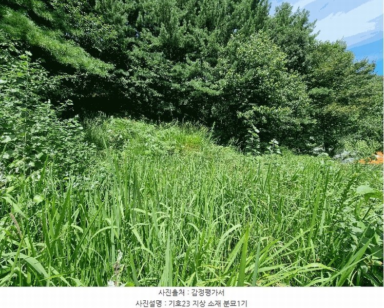 2025타경4070 충청북도 청주시 상당구 미원면 운암리 229-1 숙박시설 경매 이미지