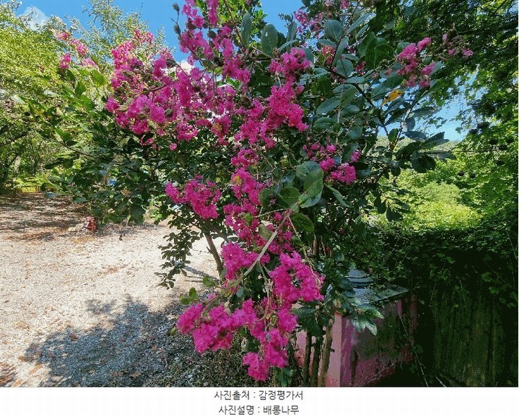 2025타경4070 충청북도 청주시 상당구 미원면 운암리 229-1 숙박시설 경매 이미지