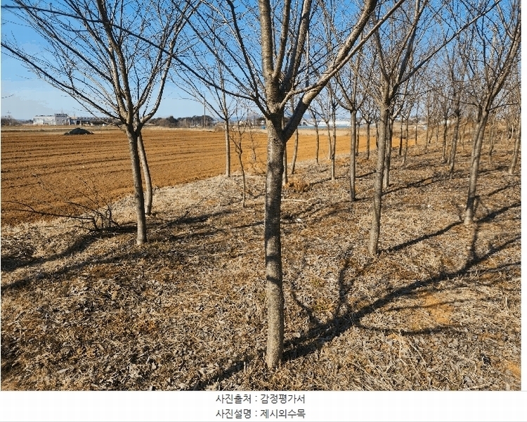 2025타경50986 충청남도 서산시 고북면 신상리 1041 농지 경매 이미지