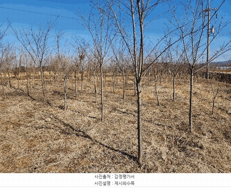 2025타경50986 충청남도 서산시 고북면 신상리 1041 농지 경매 이미지