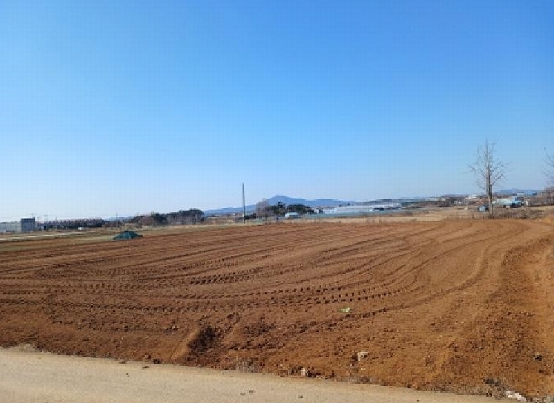 2025타경50986 충청남도 서산시 고북면 신상리 1041 농지 경매 이미지