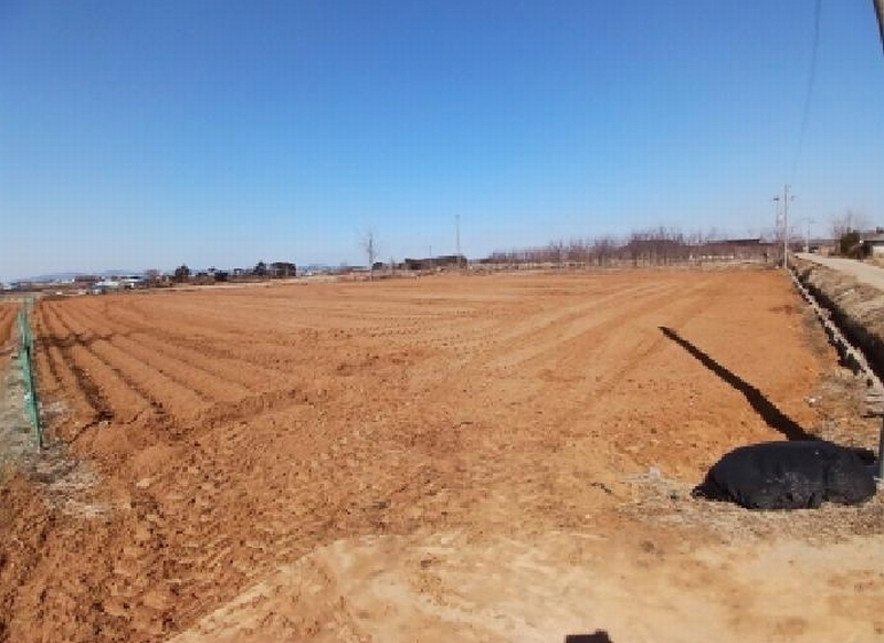 2025타경50986 충청남도 서산시 고북면 신상리 1041 농지 경매 이미지