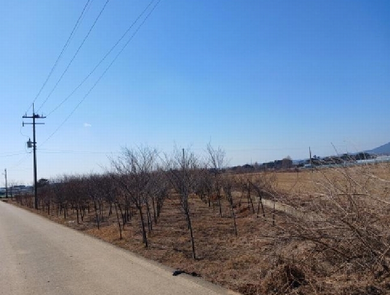 2025타경50986 충청남도 서산시 고북면 신상리 1041 농지 경매 이미지