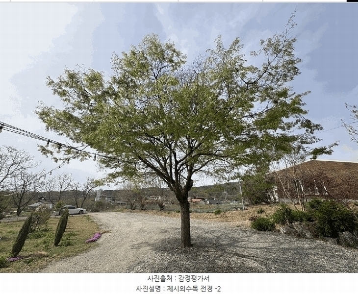2025타경51103 충청북도 청주시 청원구 율량동 29-1 근린시설 경매 이미지
