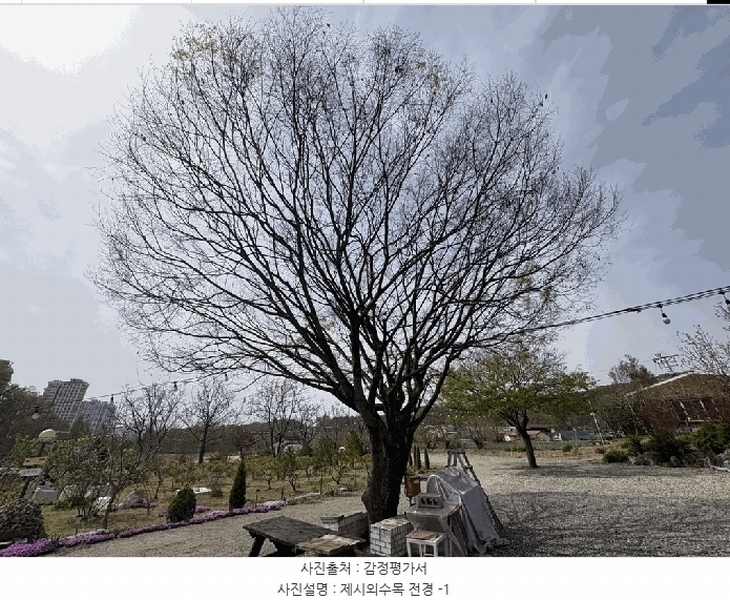 2025타경51103 충청북도 청주시 청원구 율량동 29-1 근린시설 경매 이미지