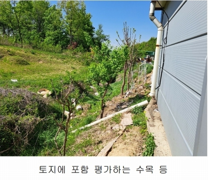 2025타경51192 충청북도 청주시 청원구 외남동 19-5 공장 경매 이미지