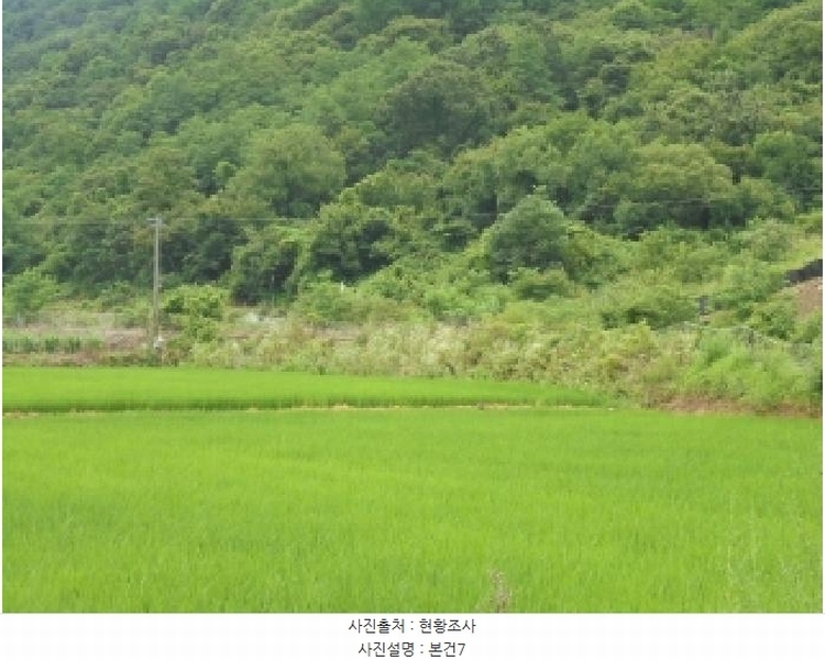2025타경51489 충청북도 보은군 산외면 신정리 230-1 농지 경매 이미지