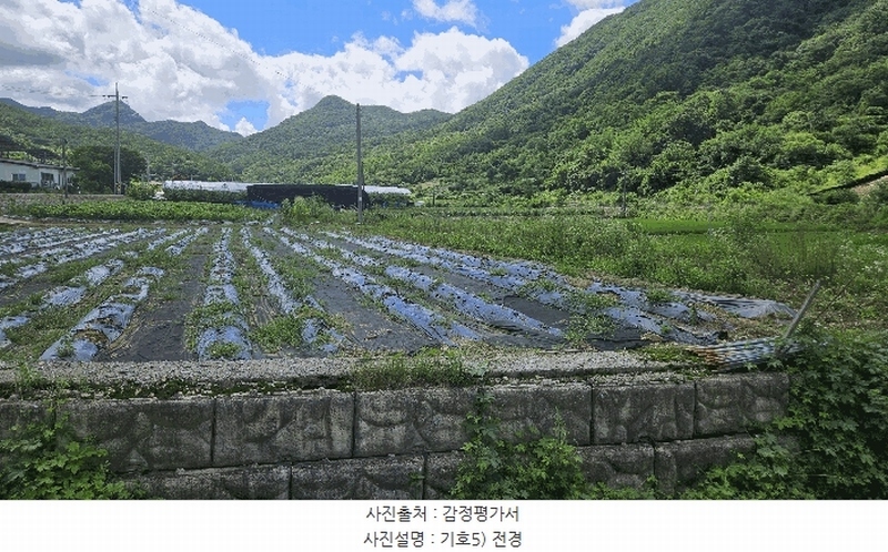 2025타경51489 충청북도 보은군 산외면 신정리 230-1 농지 경매 이미지