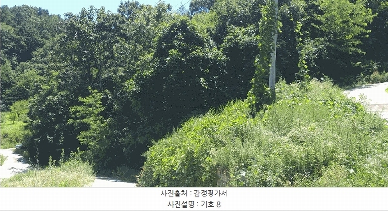 2025타경51531 충청북도 보은군 보은읍 산성리 산53-4 창고 경매 이미지