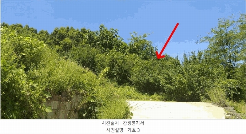 2025타경51531 충청북도 보은군 보은읍 산성리 산53-4 창고 경매 이미지