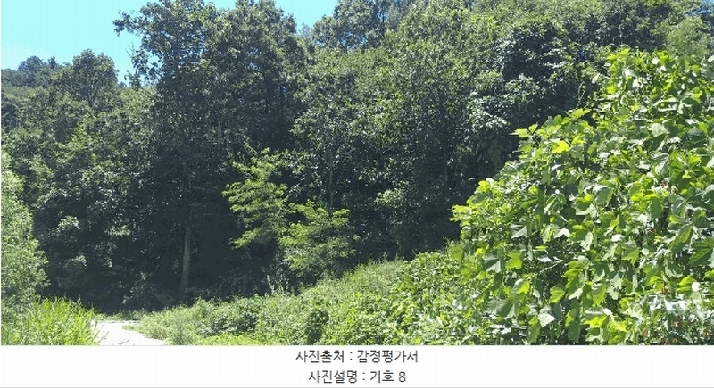 2025타경51531 충청북도 보은군 보은읍 산성리 산53-4 창고 경매 이미지