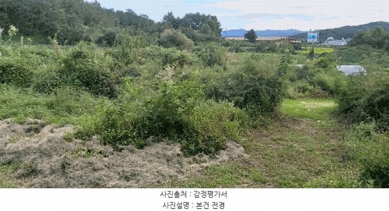 2025타경51775 충청북도 증평군 도안면 석곡리 392 농지 경매 이미지