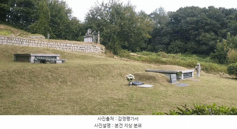 2025타경51775 충청북도 증평군 도안면 석곡리 392 농지 경매 이미지