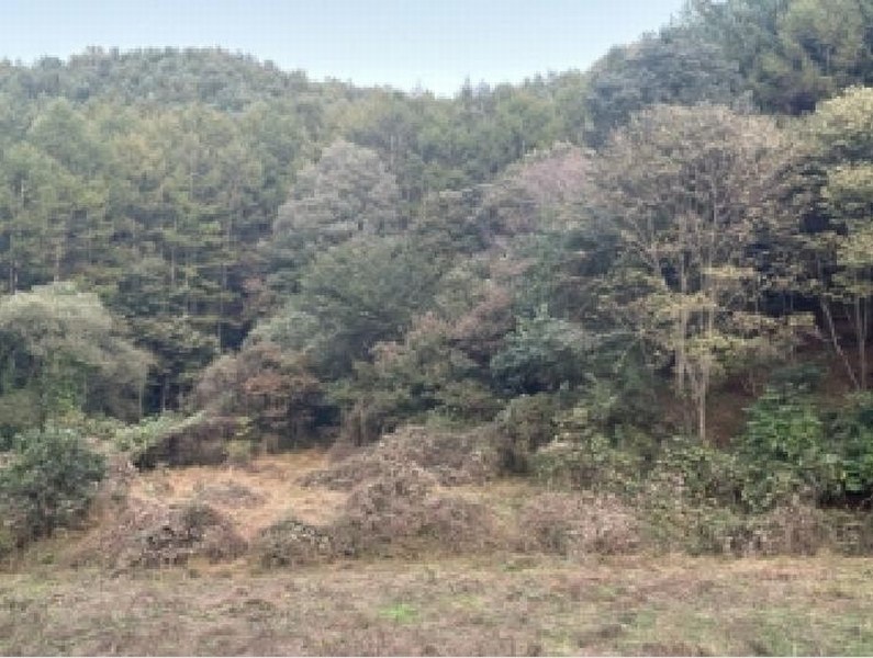 2025타경51874 충청북도 괴산군 청안면 백봉리 7-1 농지 경매 이미지