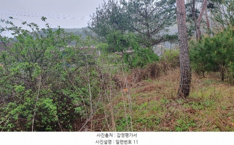 2023타경2179 충청북도 청주시 상당구 낭성면 지산리 353-7 농지 경매 이미지