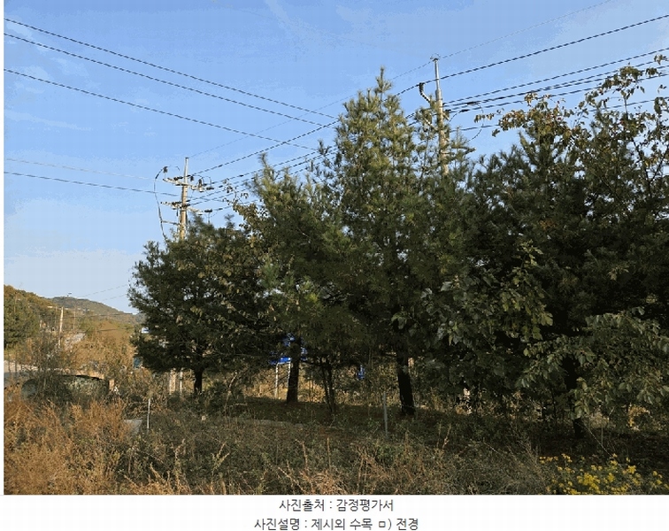 2025타경4964 충청북도 괴산군 사리면 수암리 511 근린시설 경매 이미지