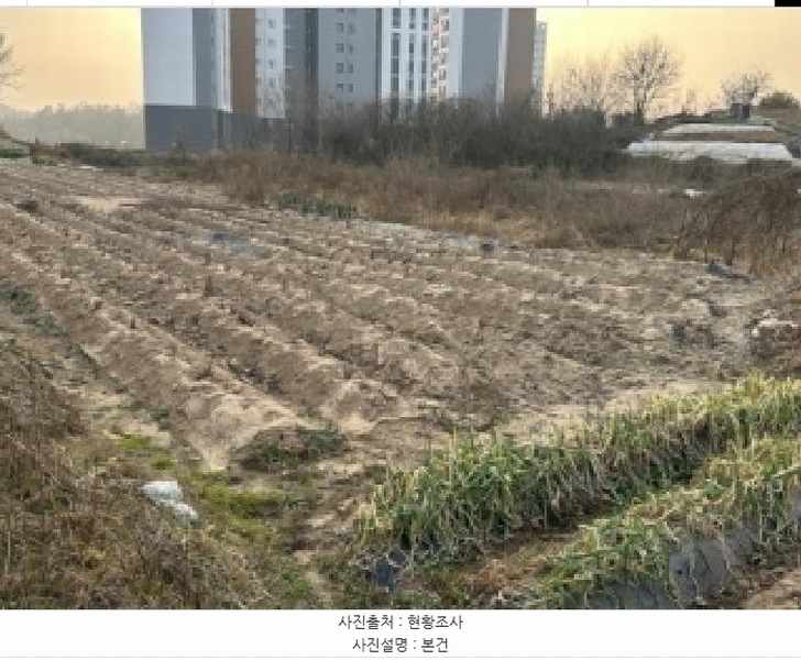 2025타경5639 충청북도 증평군 증평읍 증평리 545 농지 경매 이미지