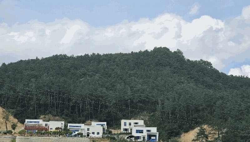 2025타경51269 충청북도 청주시 서원구 남이면 문동리 산26-70 임야 경매 이미지