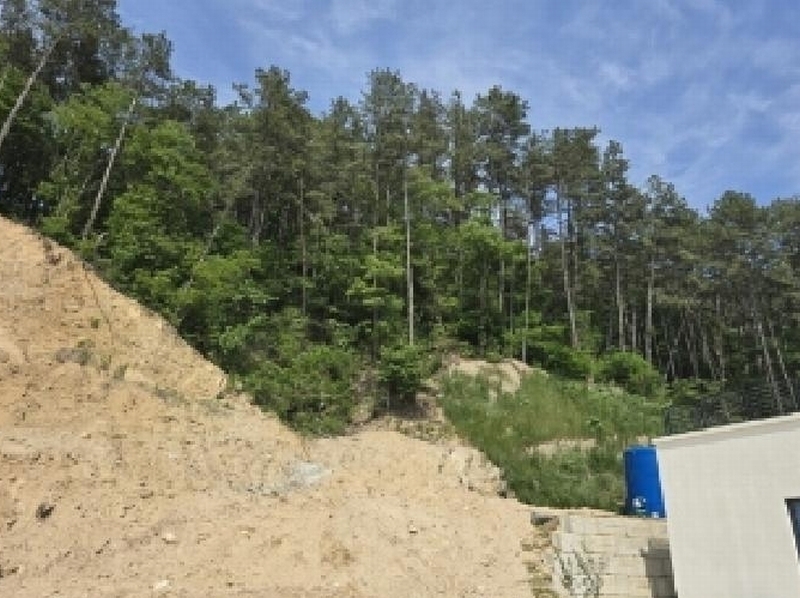 2025타경51269 충청북도 청주시 서원구 남이면 문동리 산26-70 임야 경매 이미지