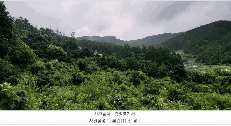 2025타경51360 충청북도 청주시 상당구 낭성면 호정리 566 임야 경매 이미지