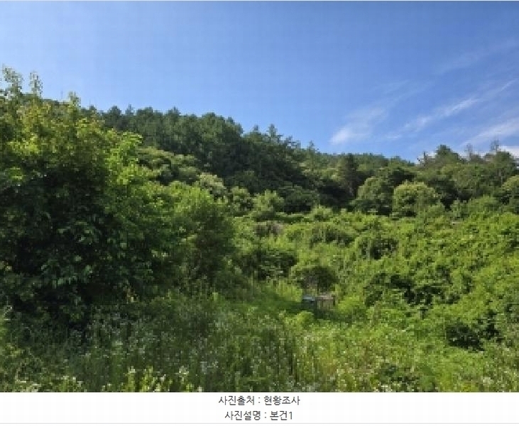 2025타경51360 충청북도 청주시 상당구 낭성면 호정리 566 임야 경매 이미지