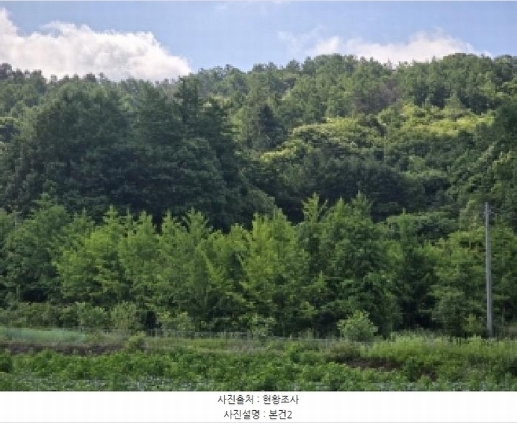 2025타경51360 충청북도 청주시 상당구 낭성면 호정리 566 임야 경매 이미지