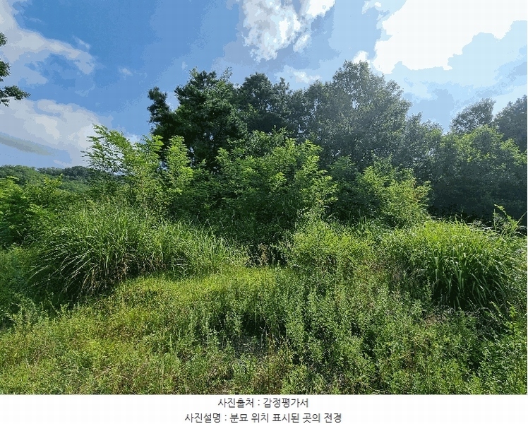 2025타경51556 충청북도 보은군 장안면 불목리 69-1 농지 경매 이미지