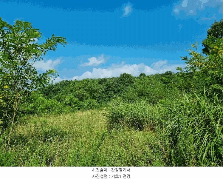 2025타경51556 충청북도 보은군 장안면 불목리 69-1 농지 경매 이미지
