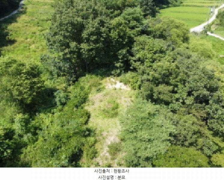 2025타경51638 충청북도 보은군 보은읍 종곡리 111 농지 경매 이미지